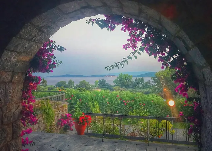 Alba Chiara *